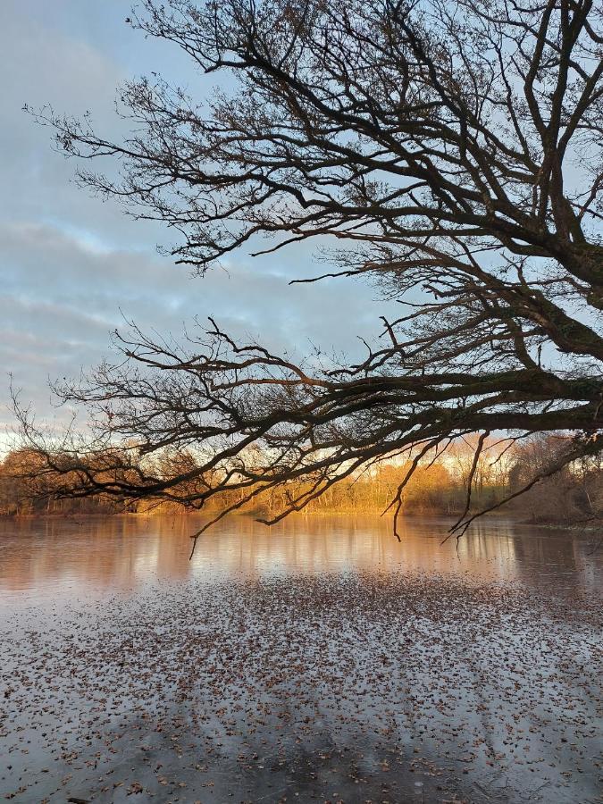 Le Manoir Des Rochers Bouere Exteriér fotografie
